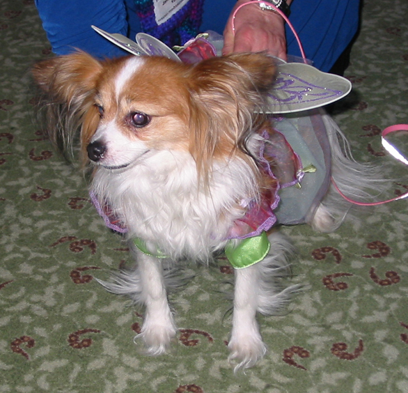 Tinkerbell